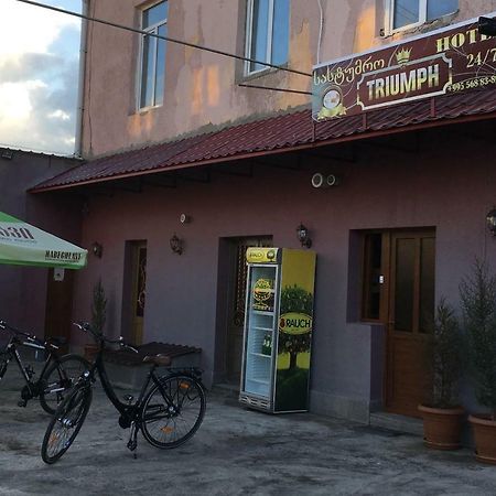 Hotel Triumph Ninotsminda Екстериор снимка